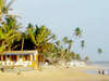 Amaya Reef 